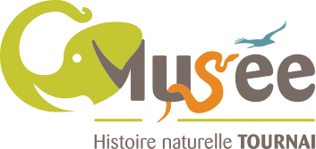 Natuurhistorisch Museum en Vivarium