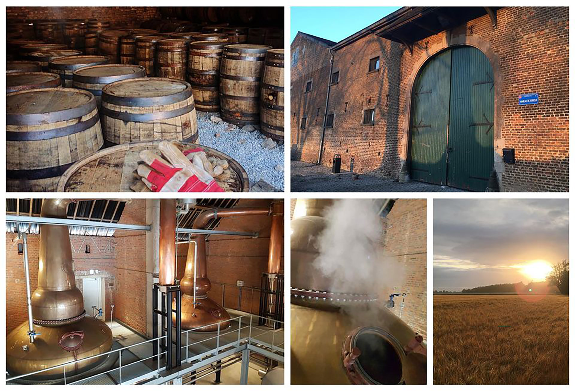 Belgian Owl Distillery